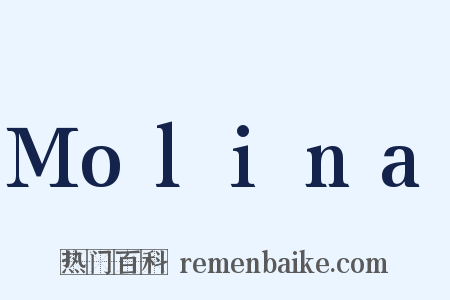 Molina是什么意思的图片